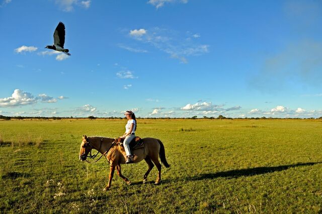 Ausritt in den Esteros del Iberá